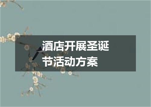 酒店开展圣诞节活动方案