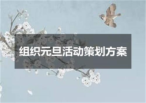 组织元旦活动策划方案