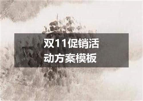 双11促销活动方案模板