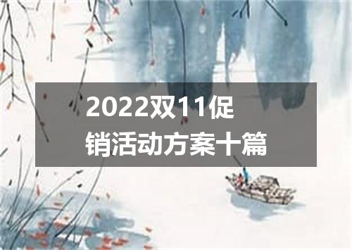 2022双11促销活动方案十篇