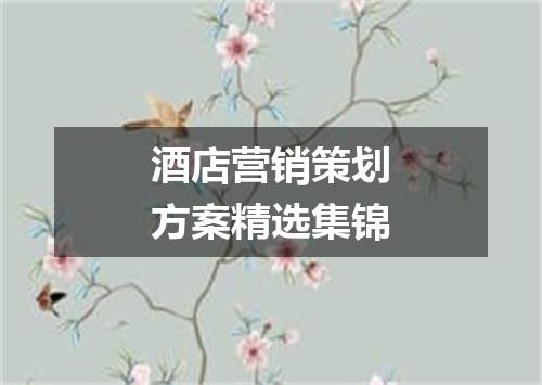 酒店营销策划方案精选集锦