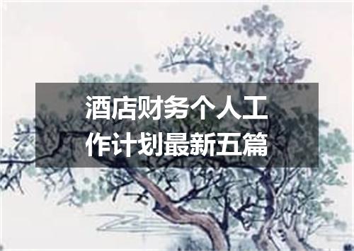 酒店财务个人工作计划最新五篇