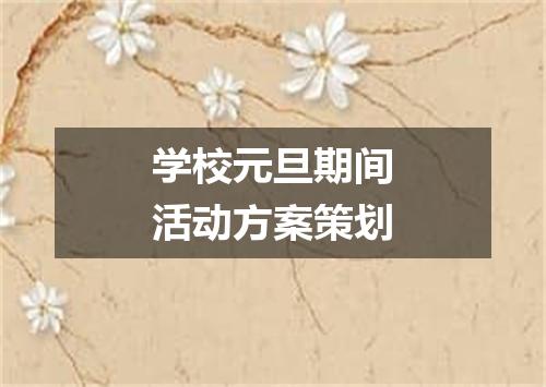 学校元旦期间活动方案策划