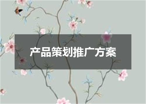 产品策划推广方案