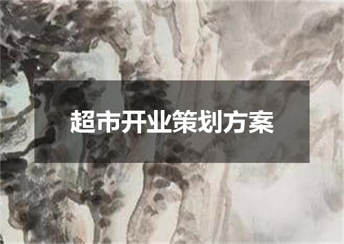 超市开业策划方案