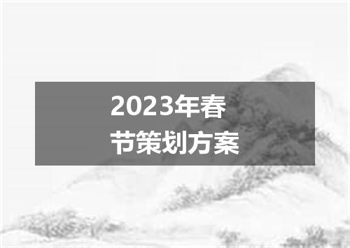 2023年春节策划方案