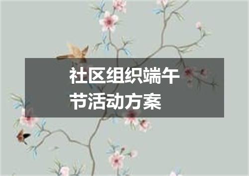 社区组织端午节活动方案