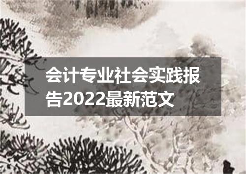 会计专业社会实践报告2022最新范文