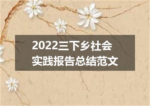 2022三下乡社会实践报告总结范文