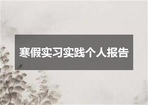 寒假实习实践个人报告