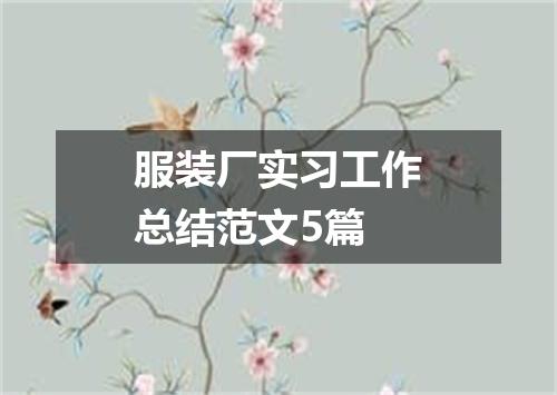 服装厂实习工作总结范文5篇