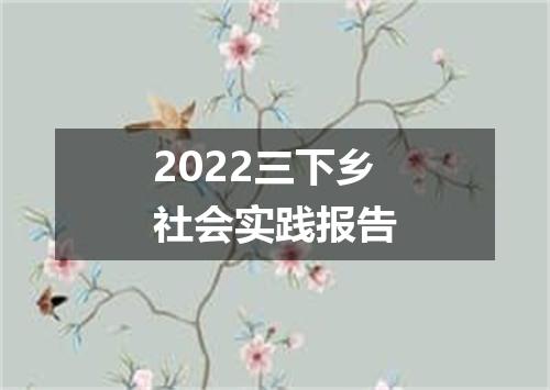 2022三下乡社会实践报告