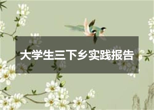 大学生三下乡实践报告