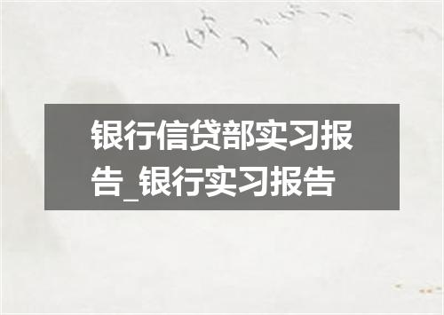银行信贷部实习报告_银行实习报告