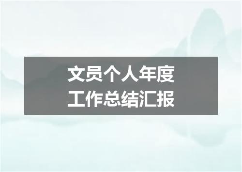 文员个人年度工作总结汇报