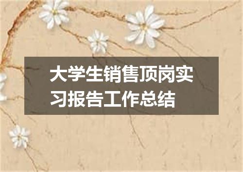 大学生销售顶岗实习报告工作总结