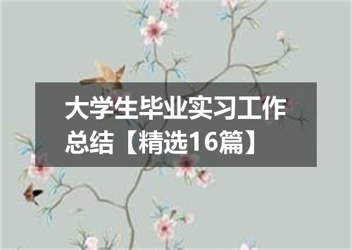 大学生毕业实习工作总结【精选16篇】