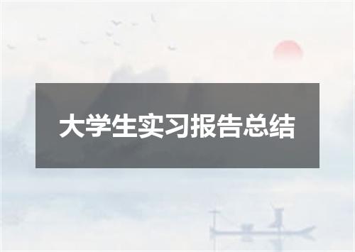 大学生实习报告总结