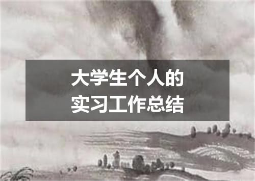大学生个人的实习工作总结