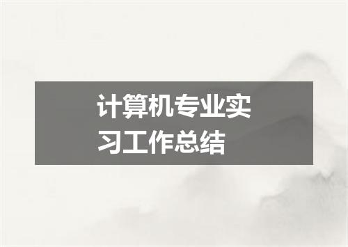 计算机专业实习工作总结