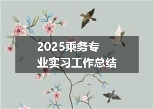 2025乘务专业实习工作总结