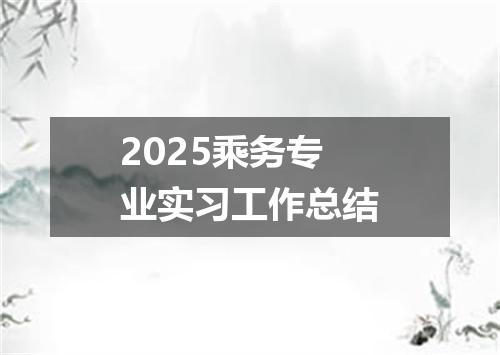 2025乘务专业实习工作总结