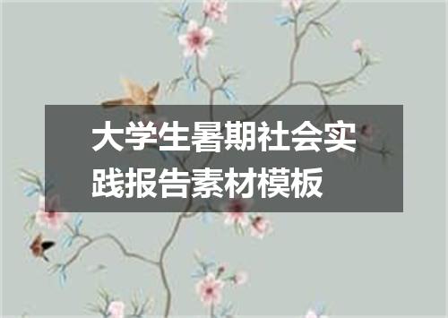大学生暑期社会实践报告素材模板