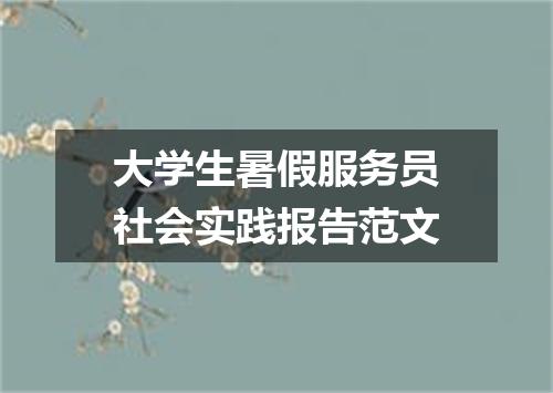 大学生暑假服务员社会实践报告范文