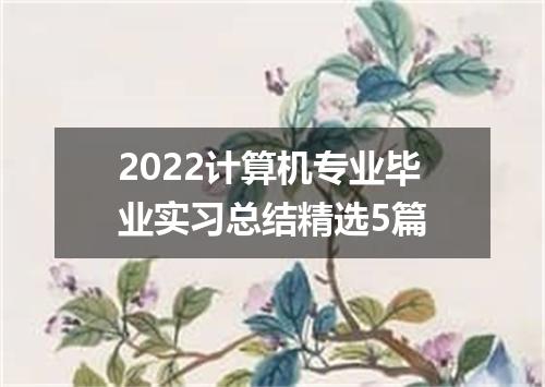 2022计算机专业毕业实习总结精选5篇