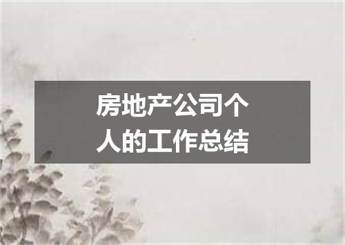房地产公司个人的工作总结