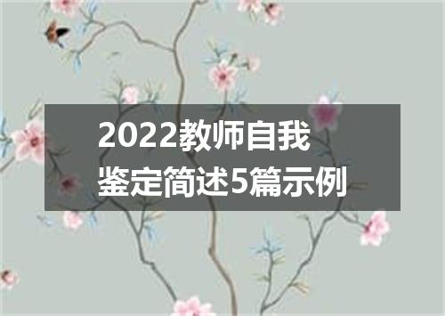 2022教师自我鉴定简述5篇示例
