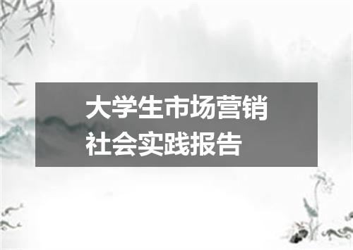 大学生市场营销社会实践报告