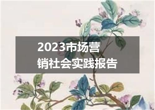 2023市场营销社会实践报告