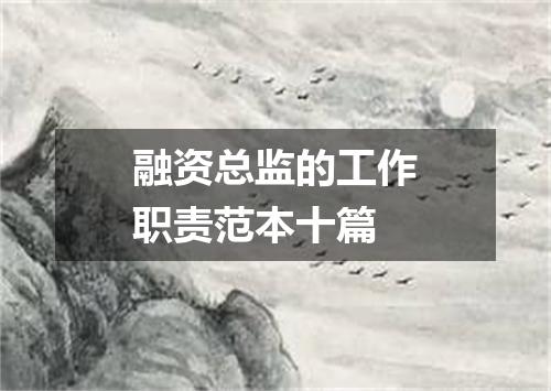 融资总监的工作职责范本十篇