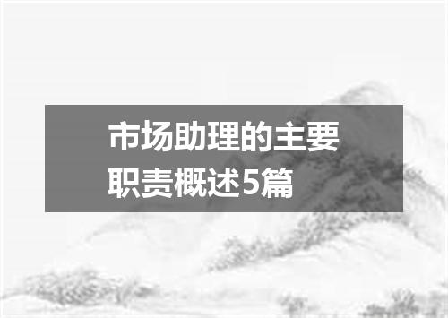 市场助理的主要职责概述5篇