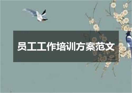 员工工作培训方案范文