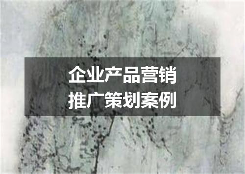 企业产品营销推广策划案例