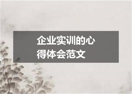 企业实训的心得体会范文