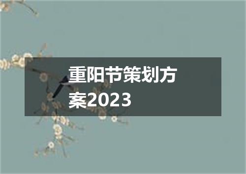 重阳节策划方案2023