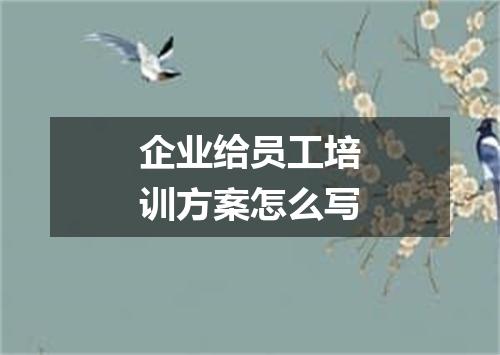 企业给员工培训方案怎么写