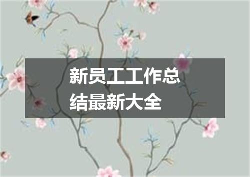 新员工工作总结最新大全