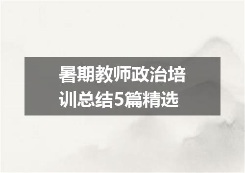 暑期教师政治培训总结5篇精选