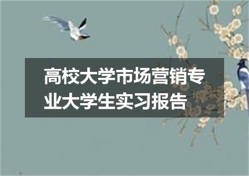 高校大学市场营销专业大学生实习报告