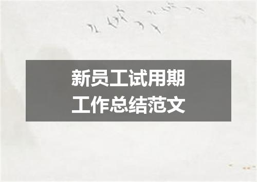 新员工试用期工作总结范文