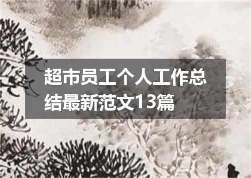 超市员工个人工作总结最新范文13篇