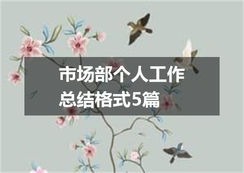 市场部个人工作总结格式5篇