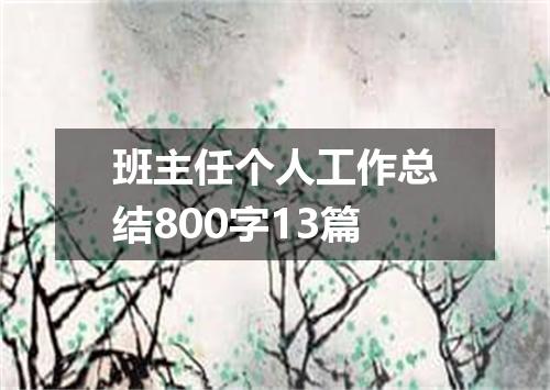 班主任个人工作总结800字13篇