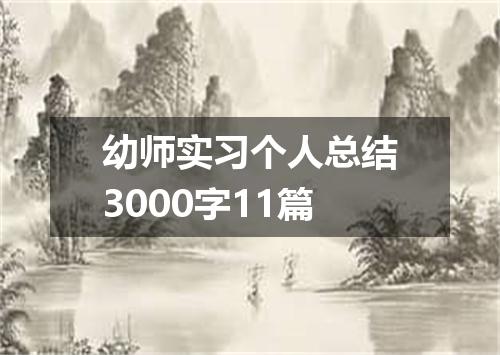 幼师实习个人总结3000字11篇