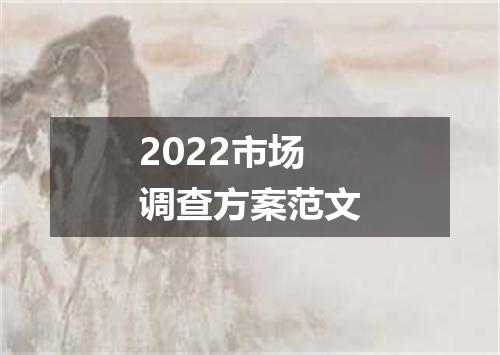 2022市场调查方案范文
