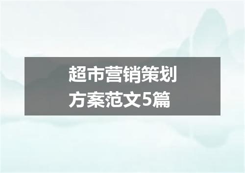 超市营销策划方案范文5篇